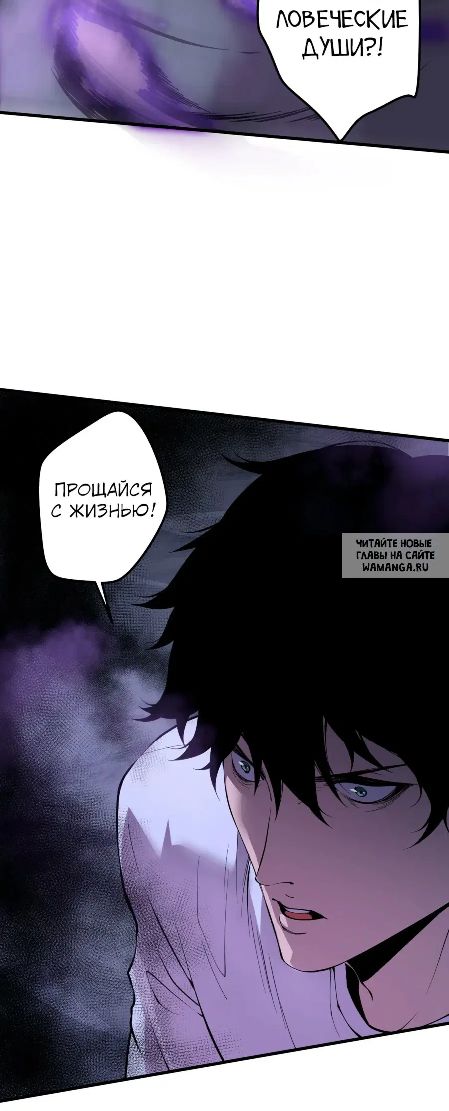 Page 51.000