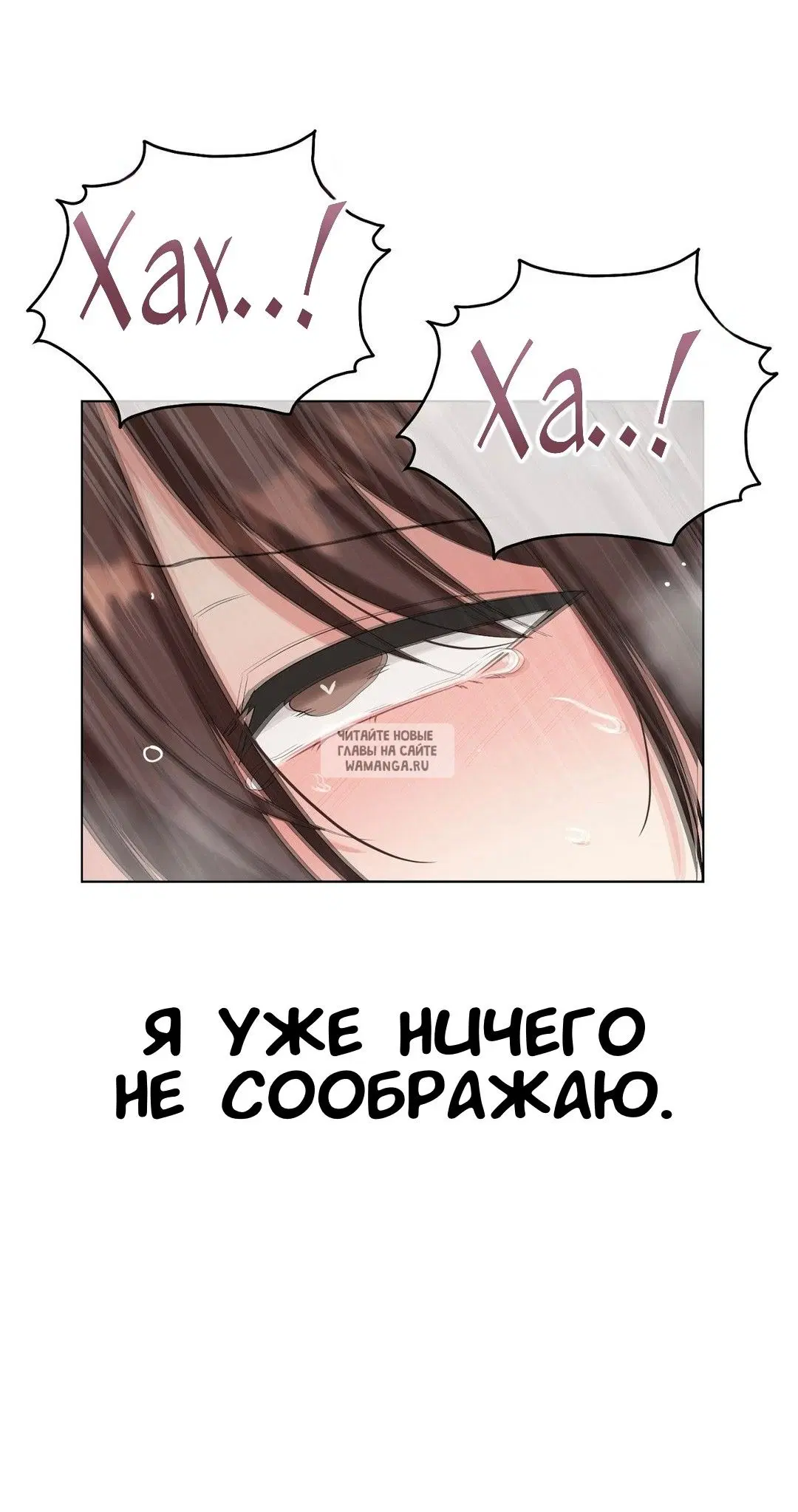 Page 55.000