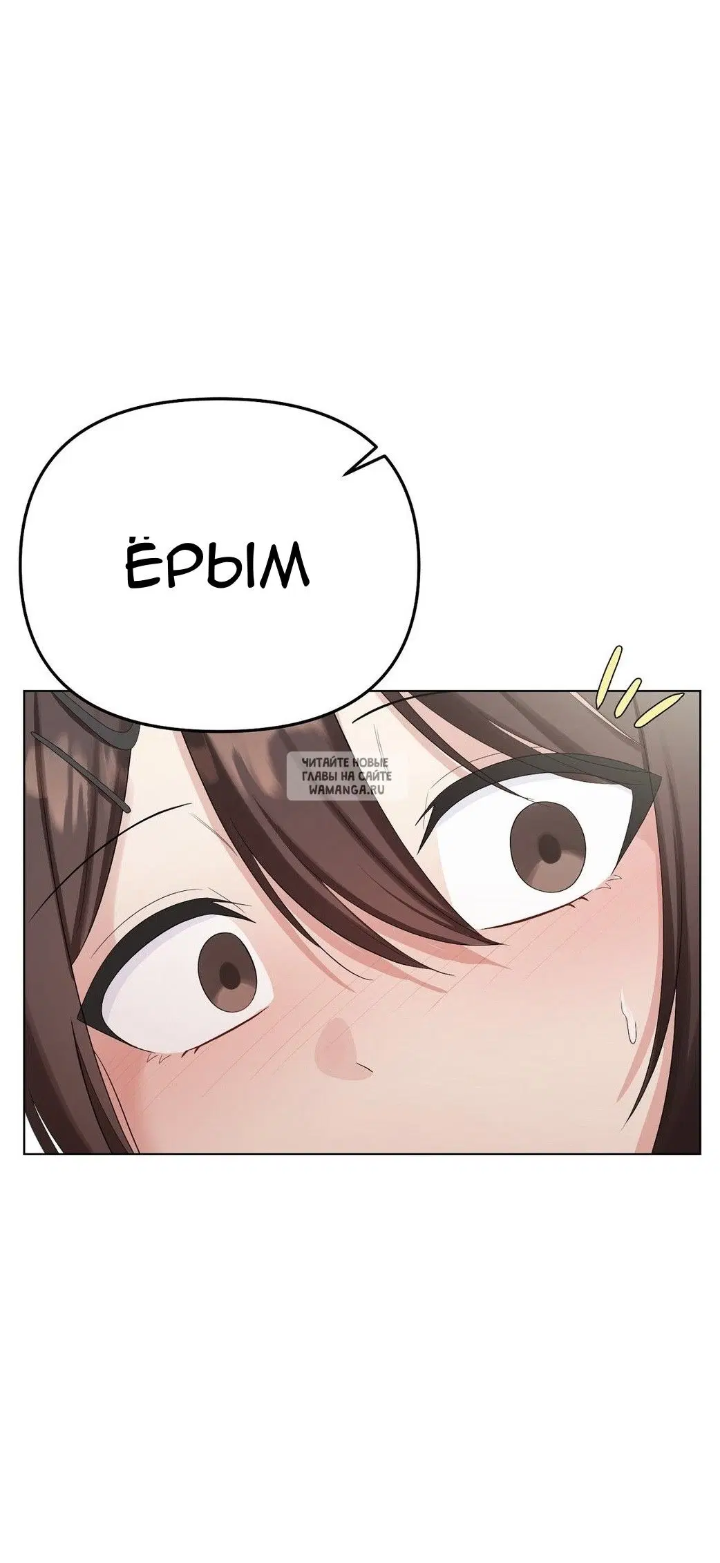 Page 50.000