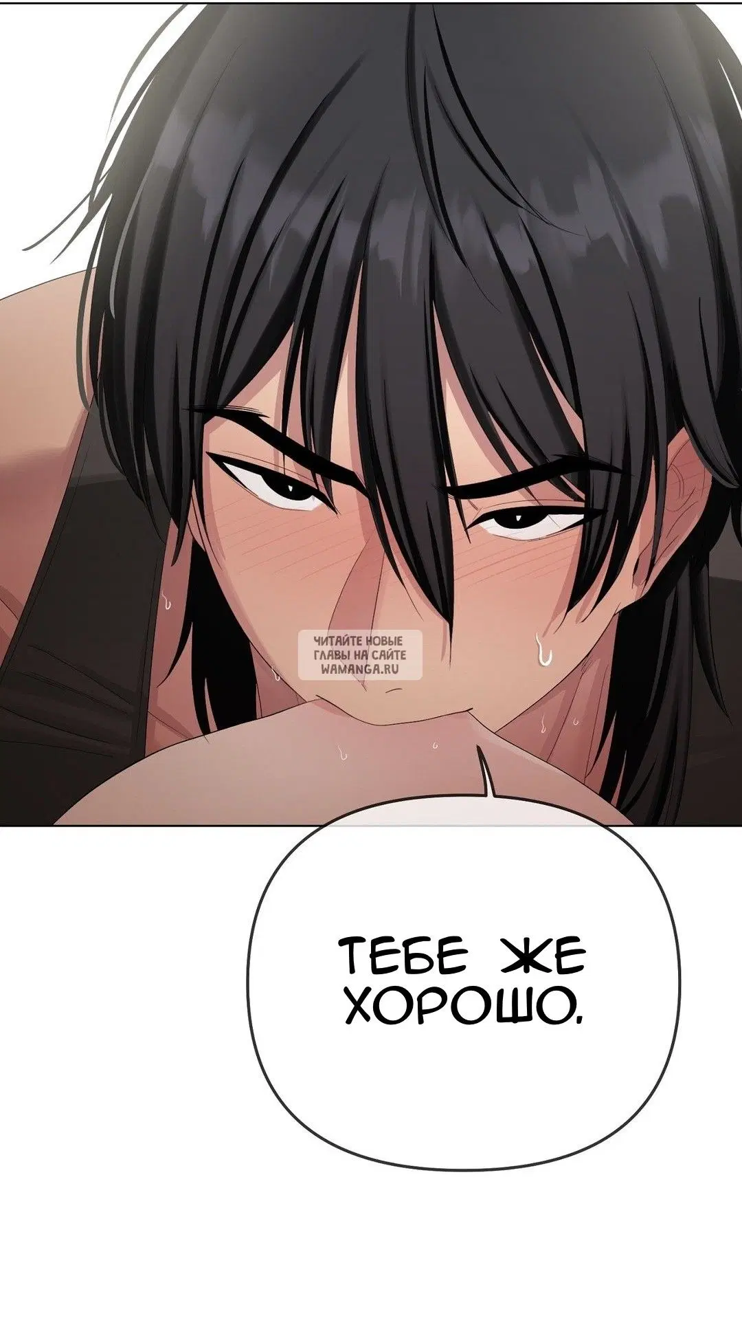 Page 51.000