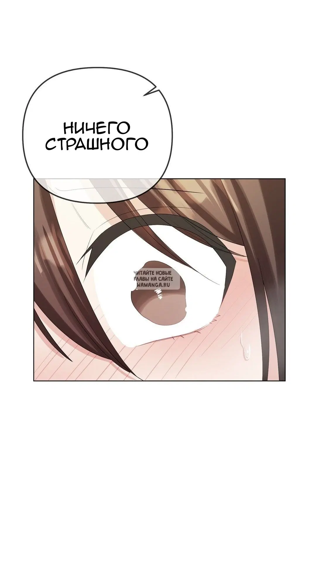 Page 82.000