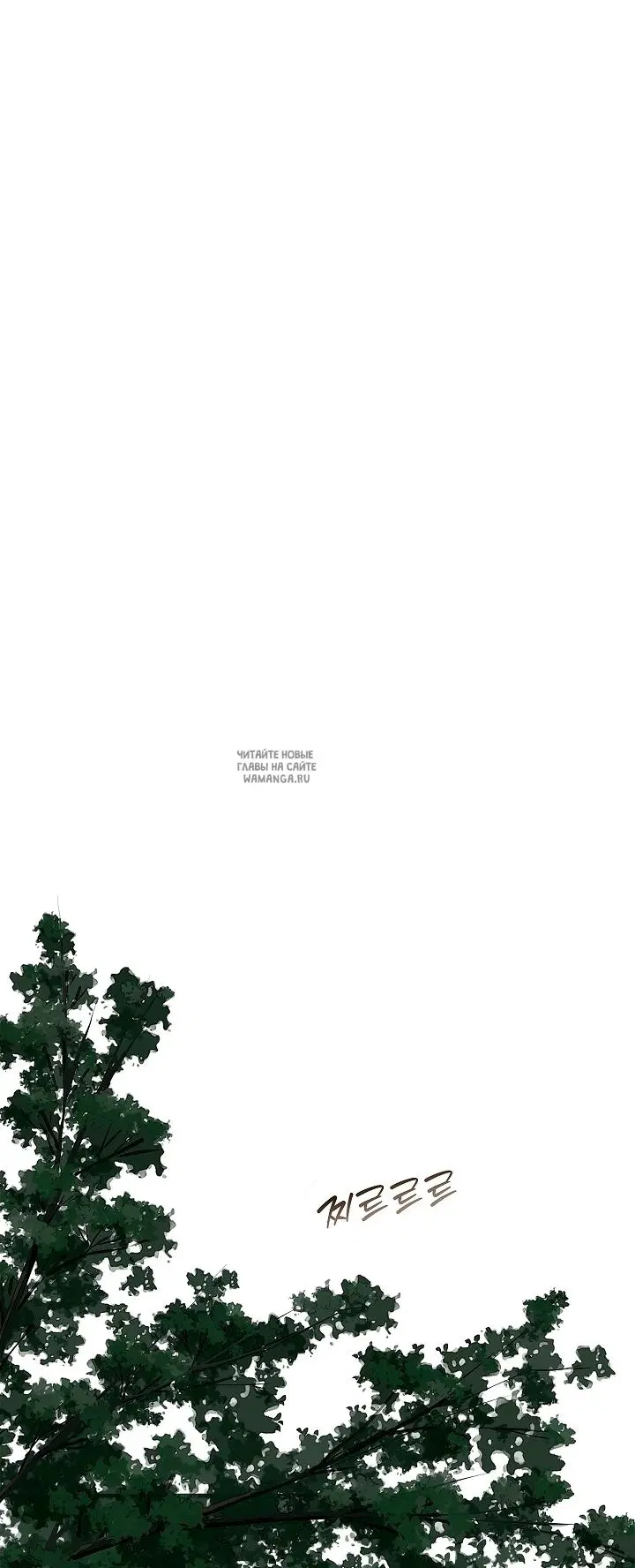 Page 37.000