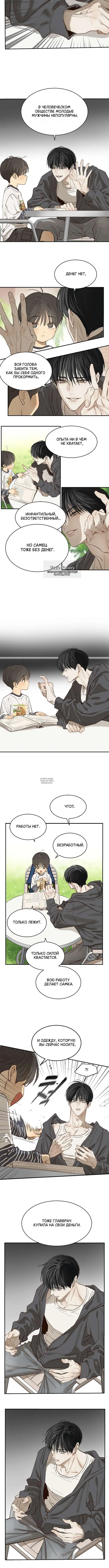 Page 3.000