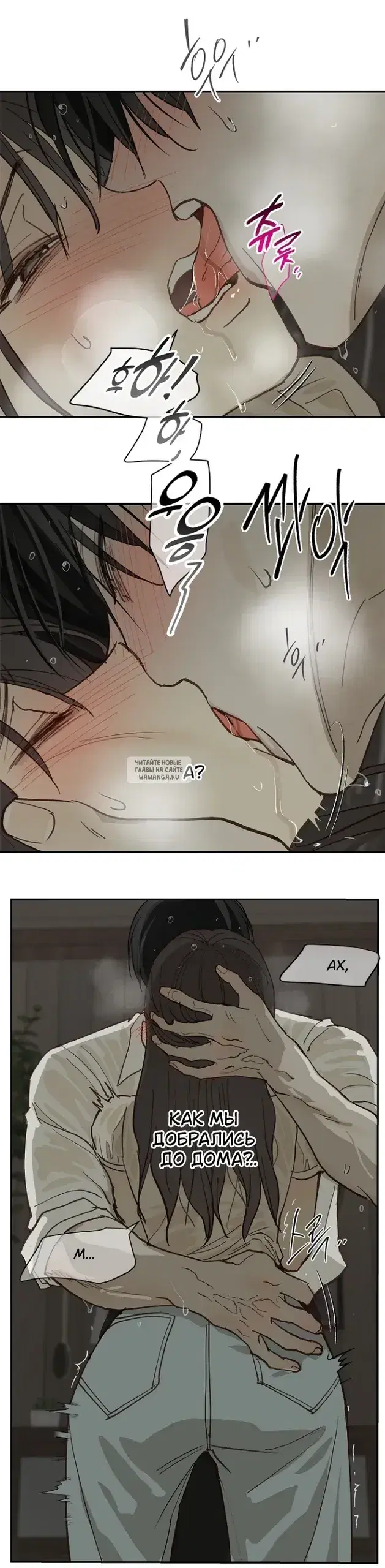 Page 41.000