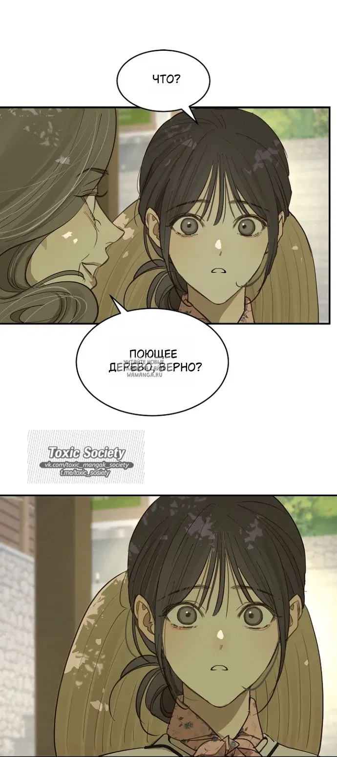 Page 50.000