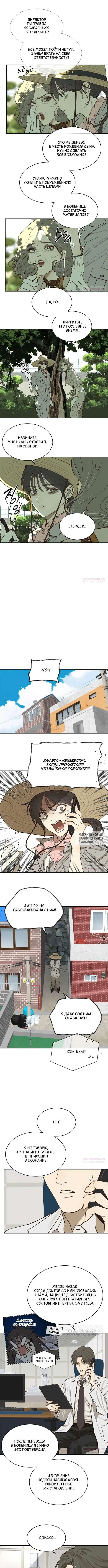 Page 8.000