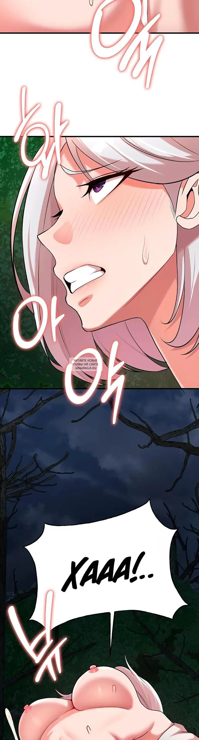 Page 31.000
