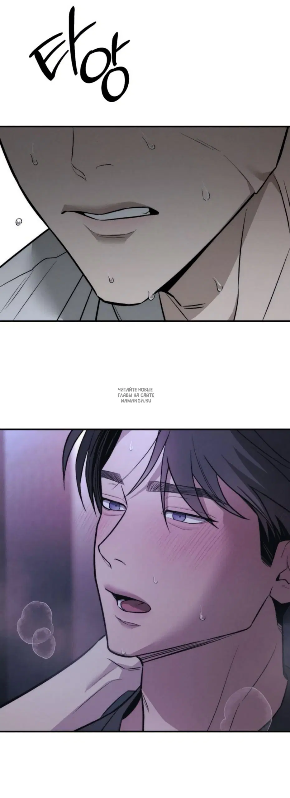 Page 36.000