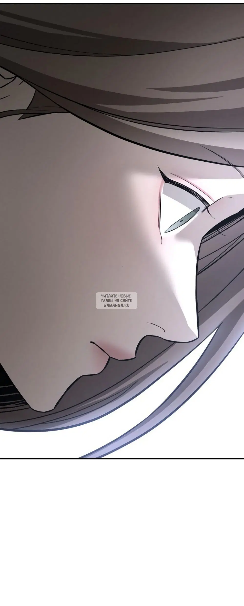 Page 81.000