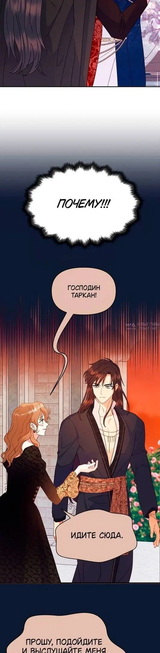 Page 25.000