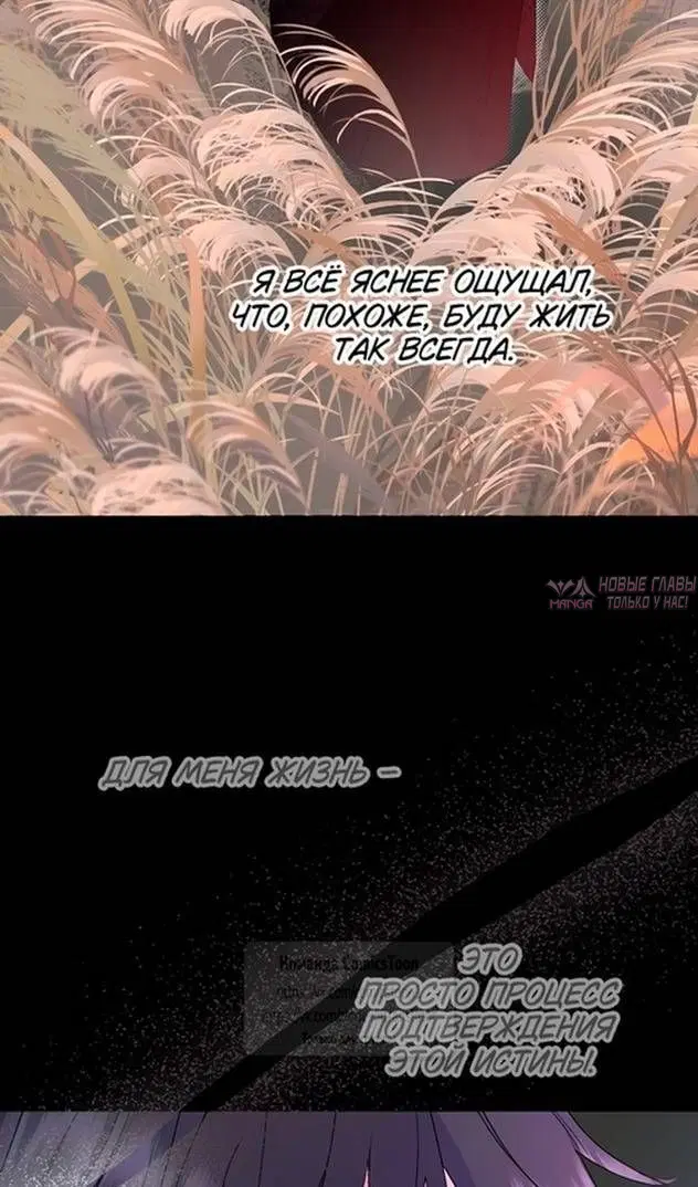 Page 26.000