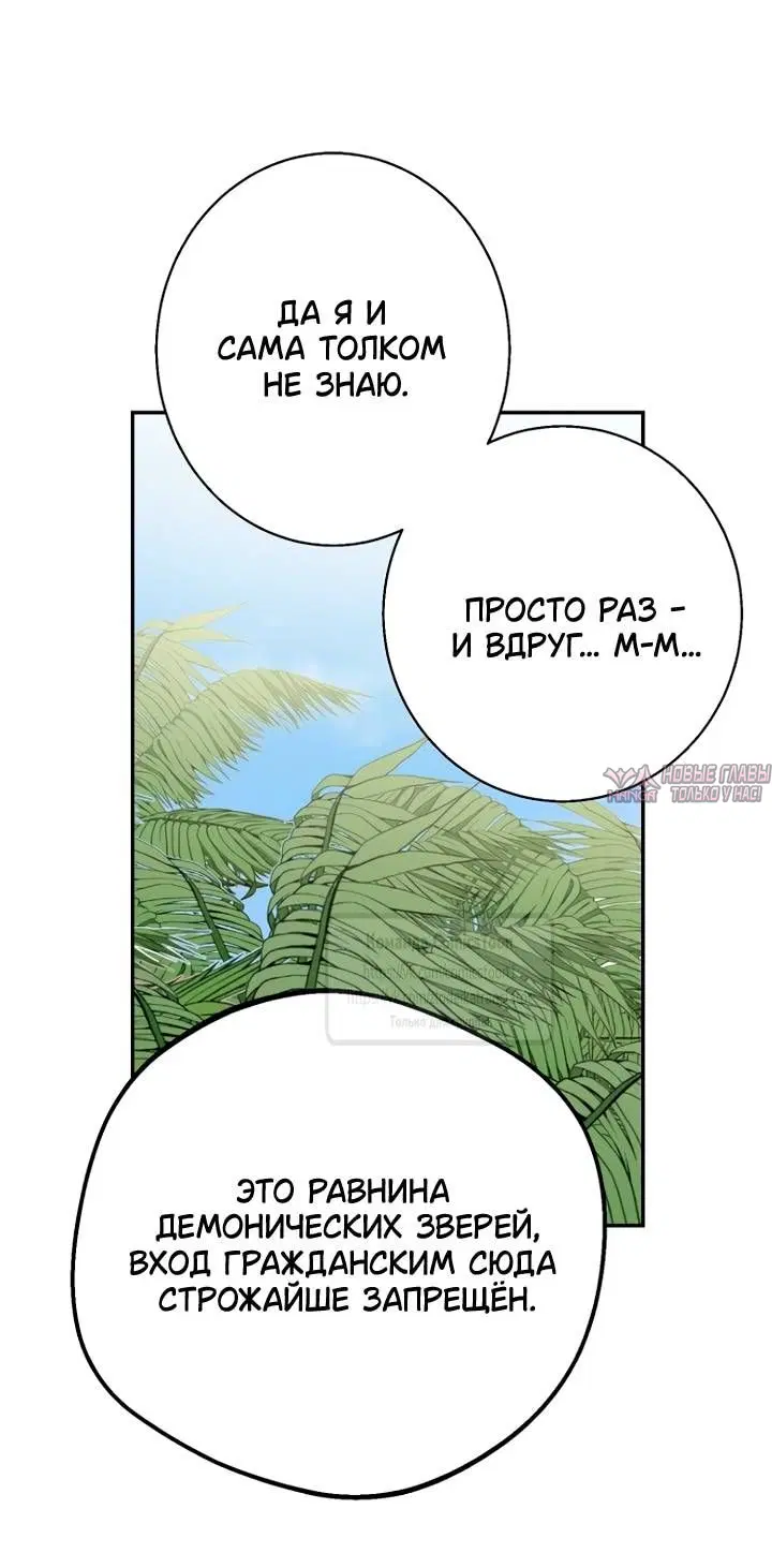 Page 35.000
