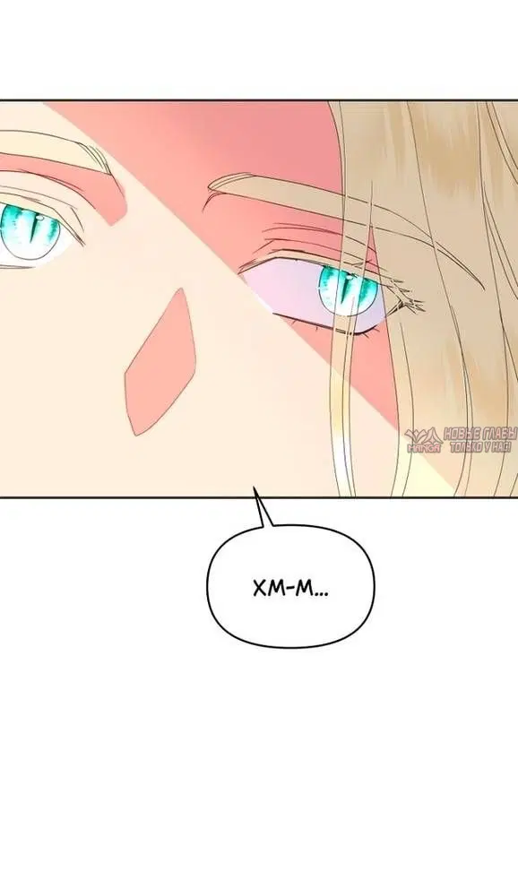 Page 36.000