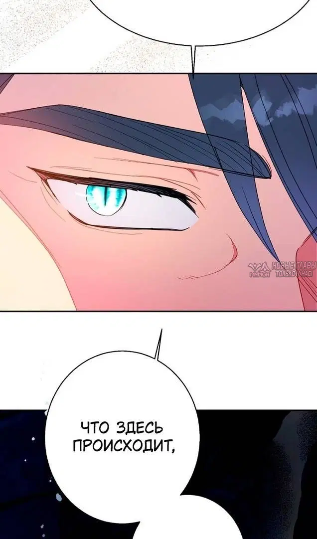 Page 38.000