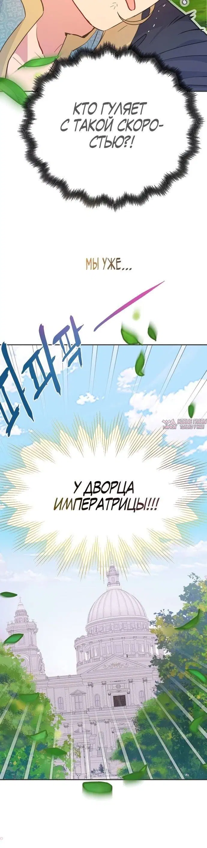 Page 30.000