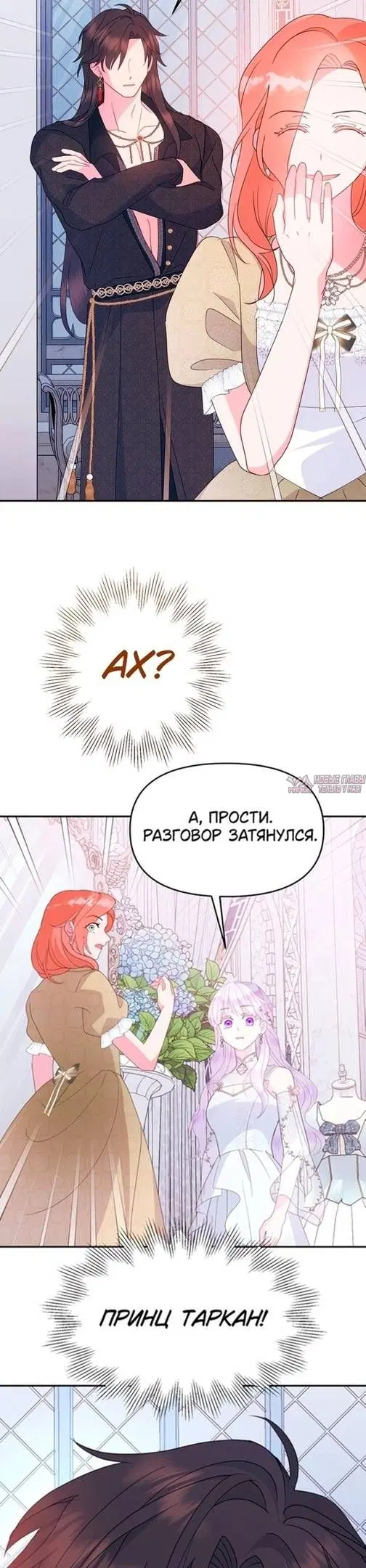 Page 33.000