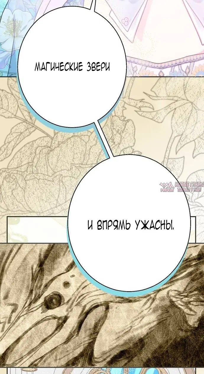 Page 41.000