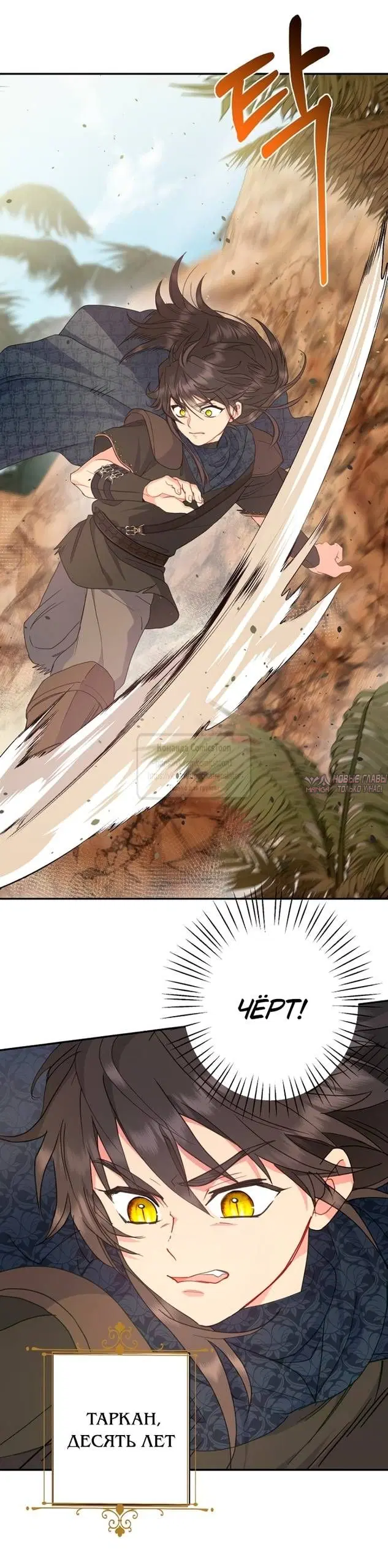 Page 41.000