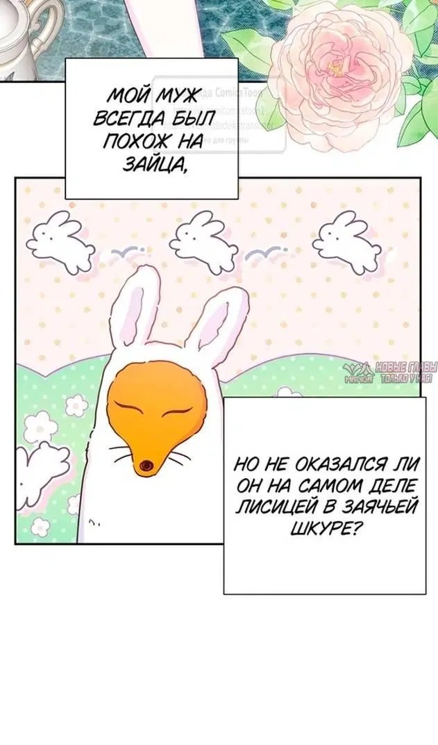 Page 43.000
