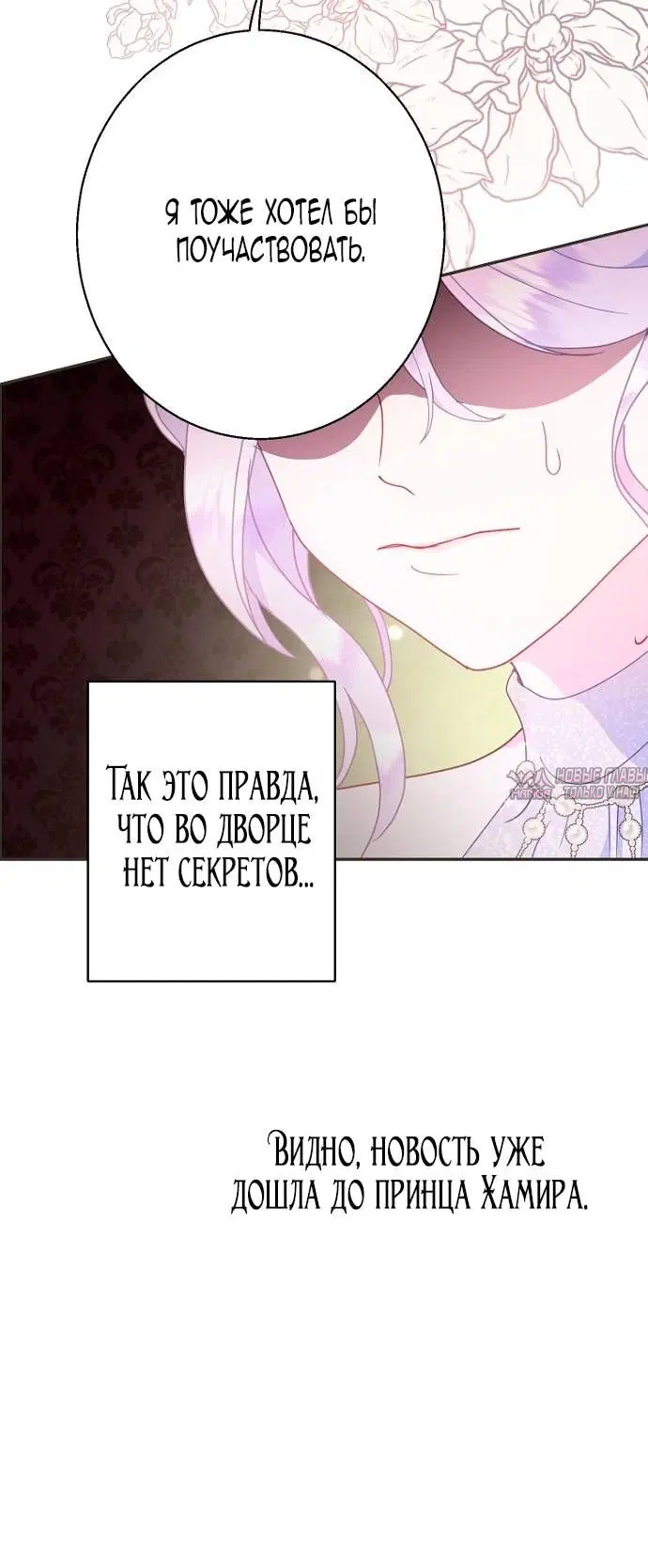 Page 51.000