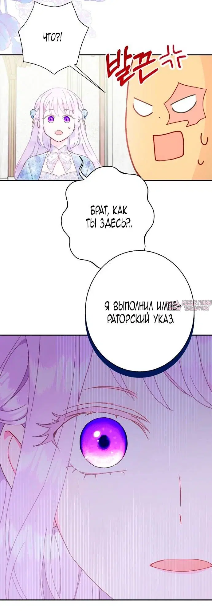 Page 51.000