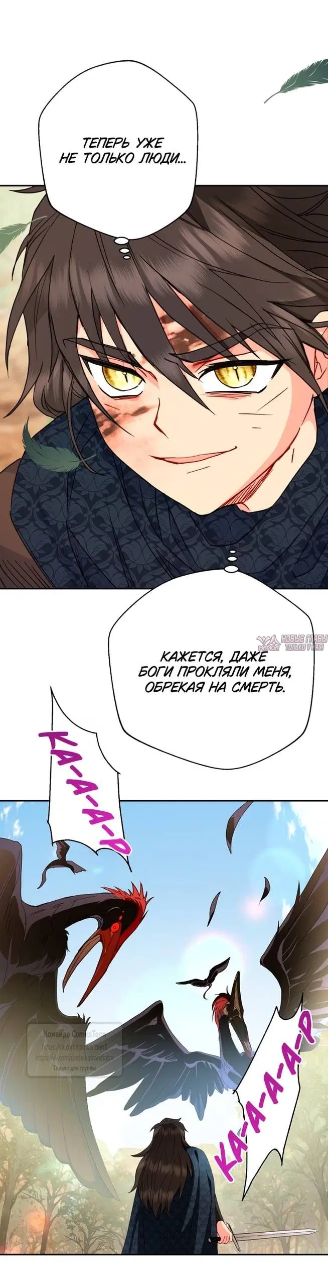 Page 51.000