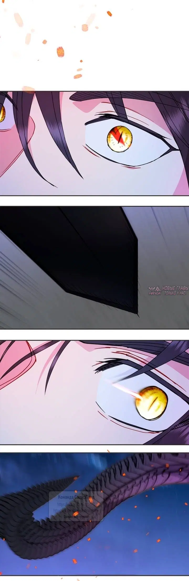 Page 51.000