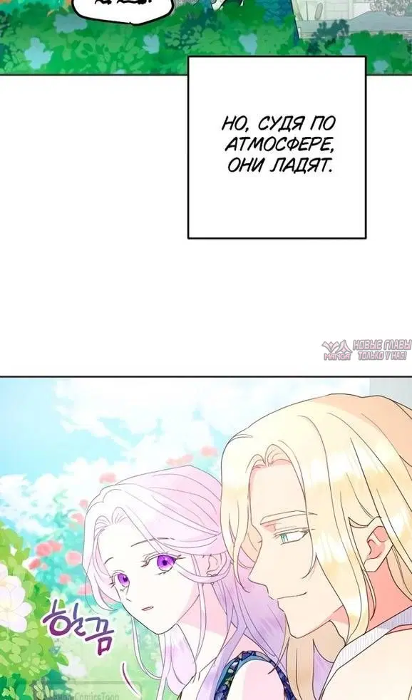 Page 51.000