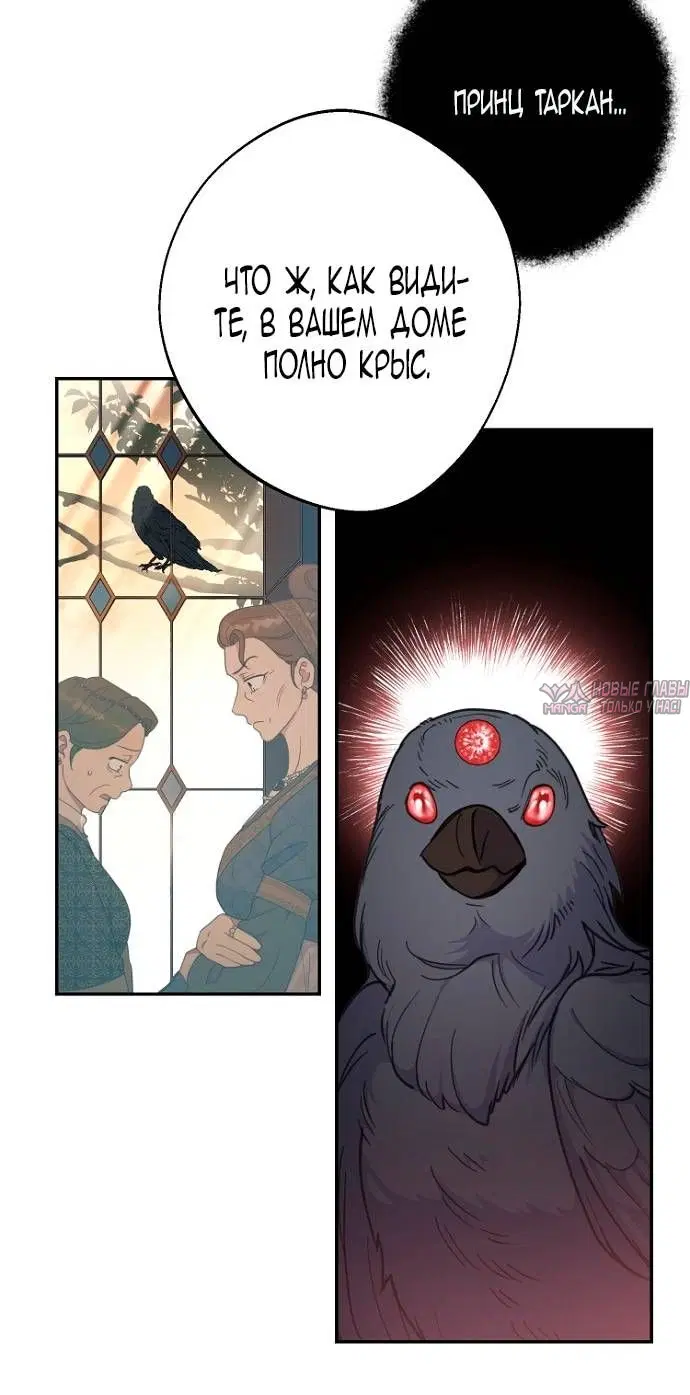 Page 80.000