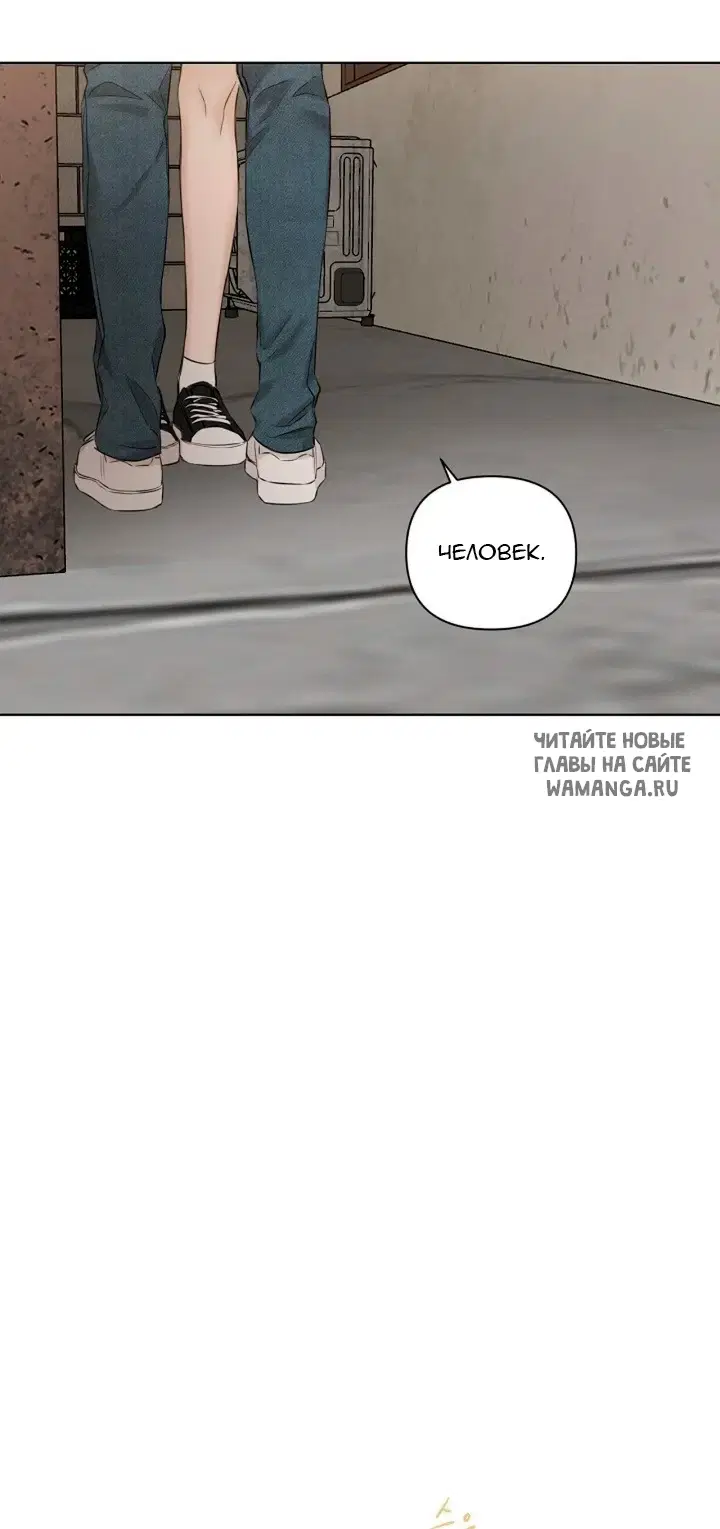 Page 26.000