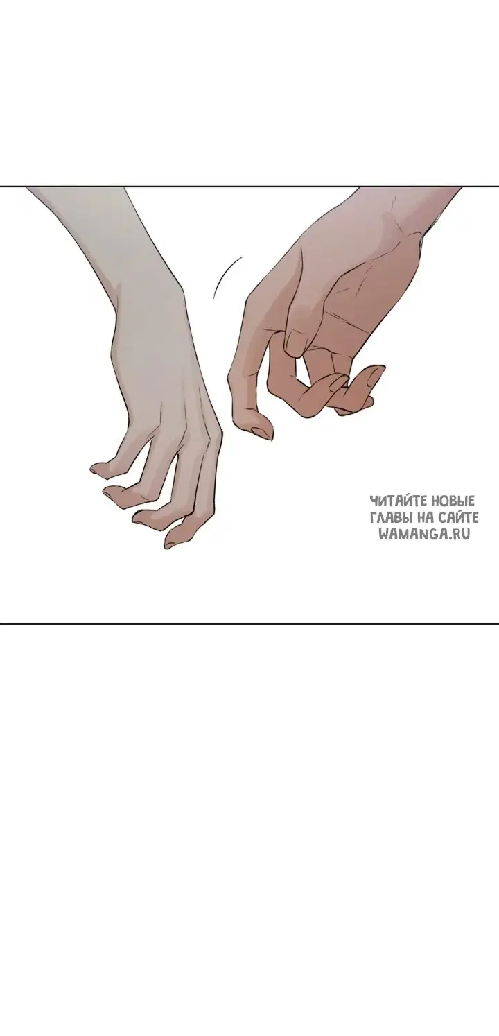 Page 54.000