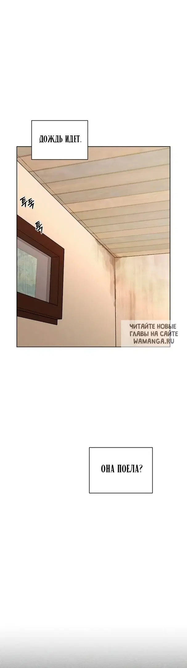 Page 50.000