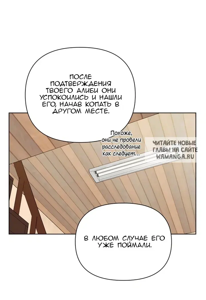 Page 51.000