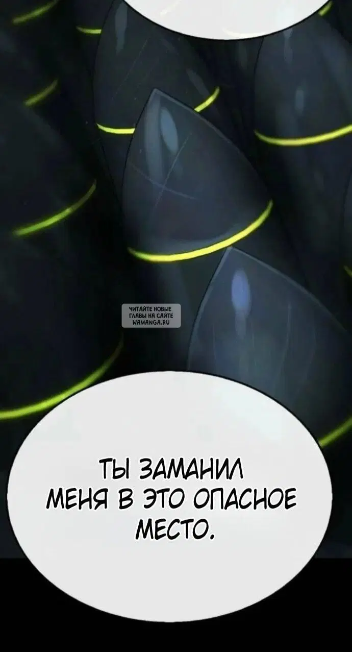 Page 53.000