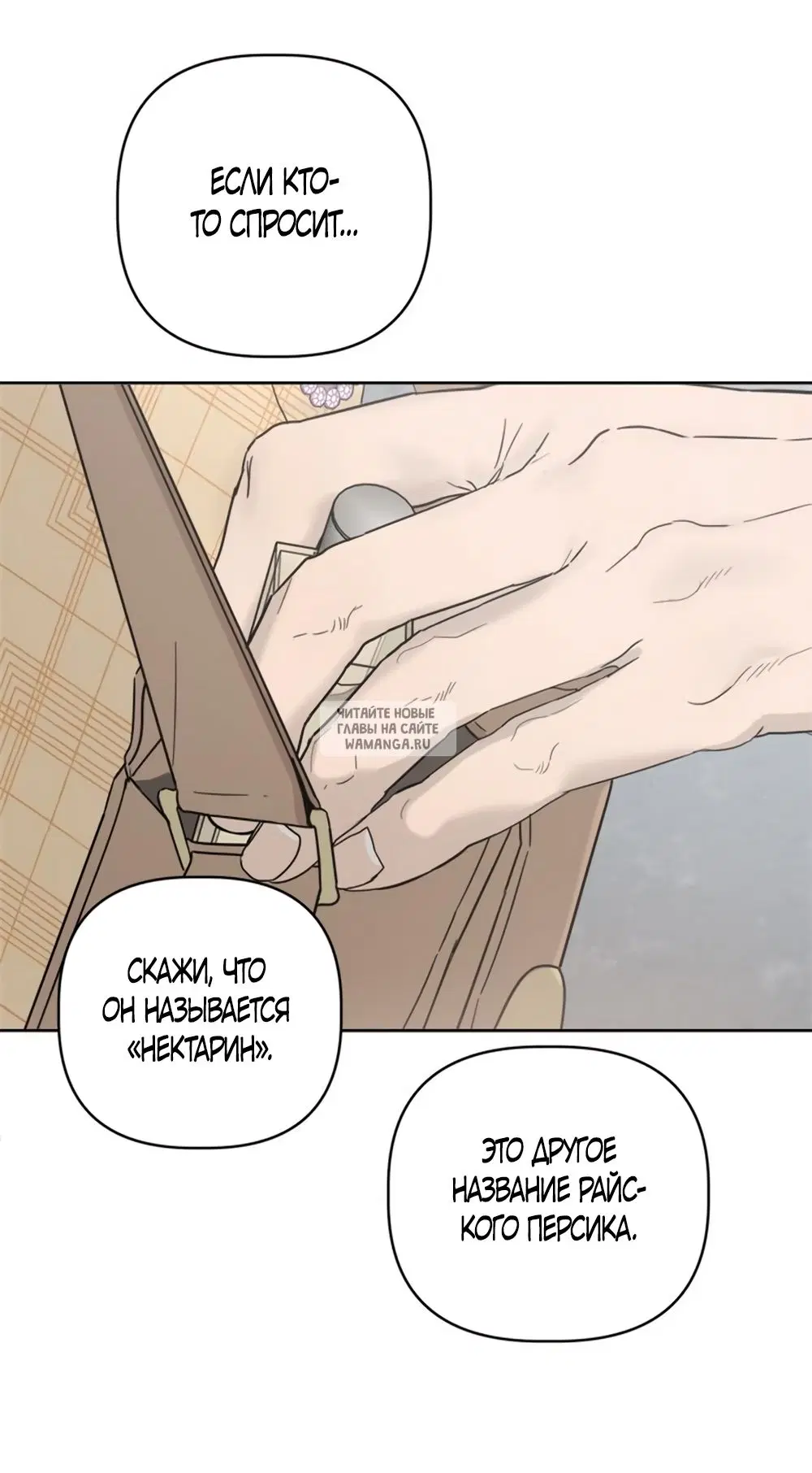 Page 21.000