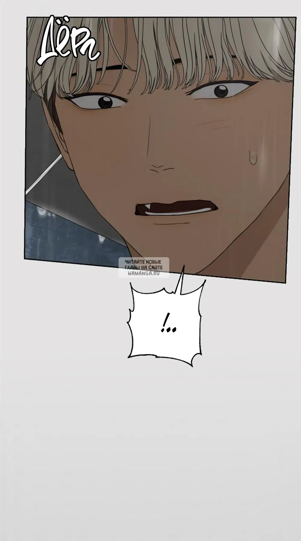Page 43.000