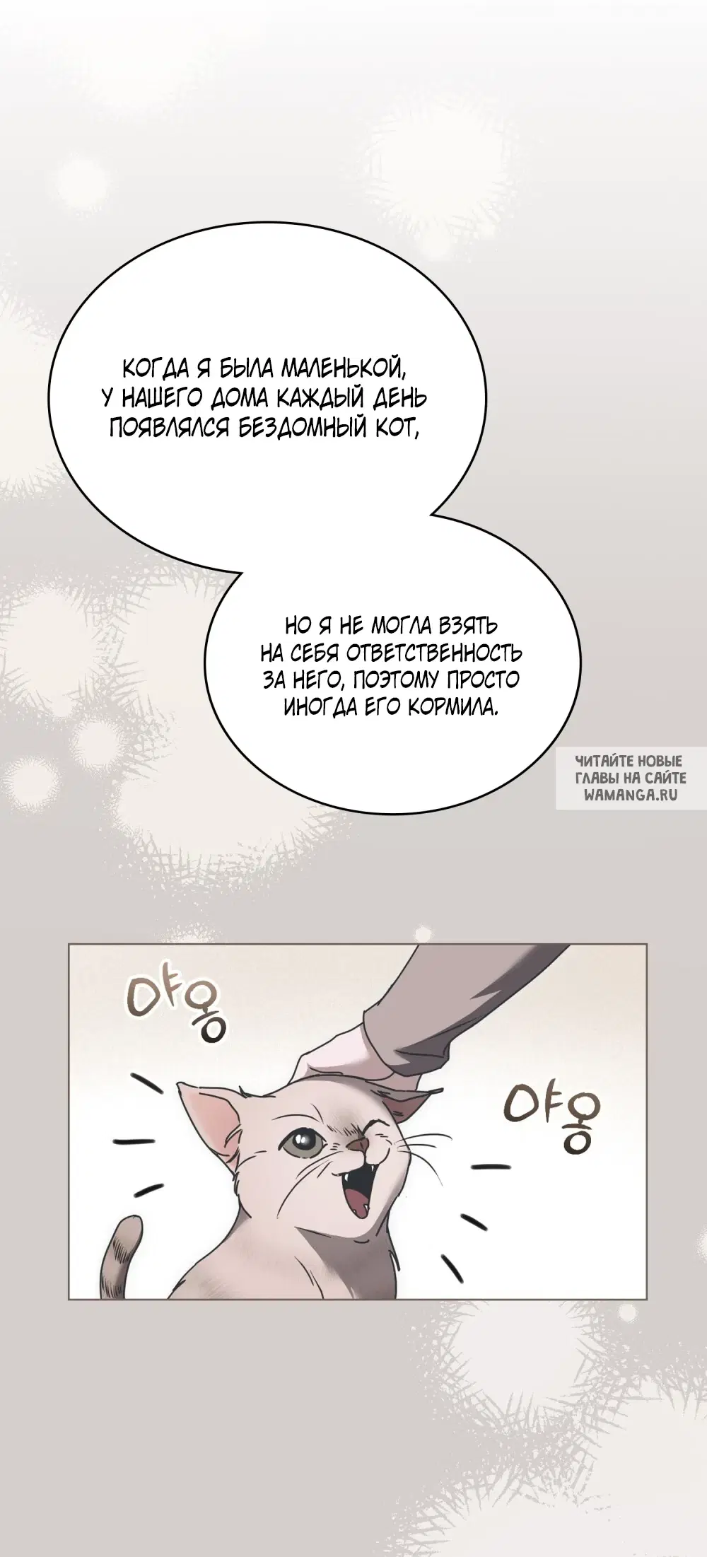 Page 54.000