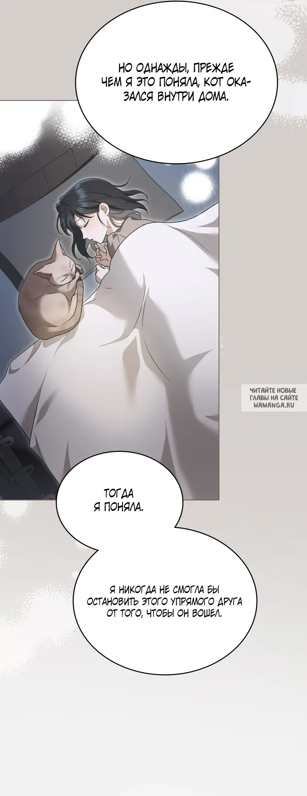 Page 55.000
