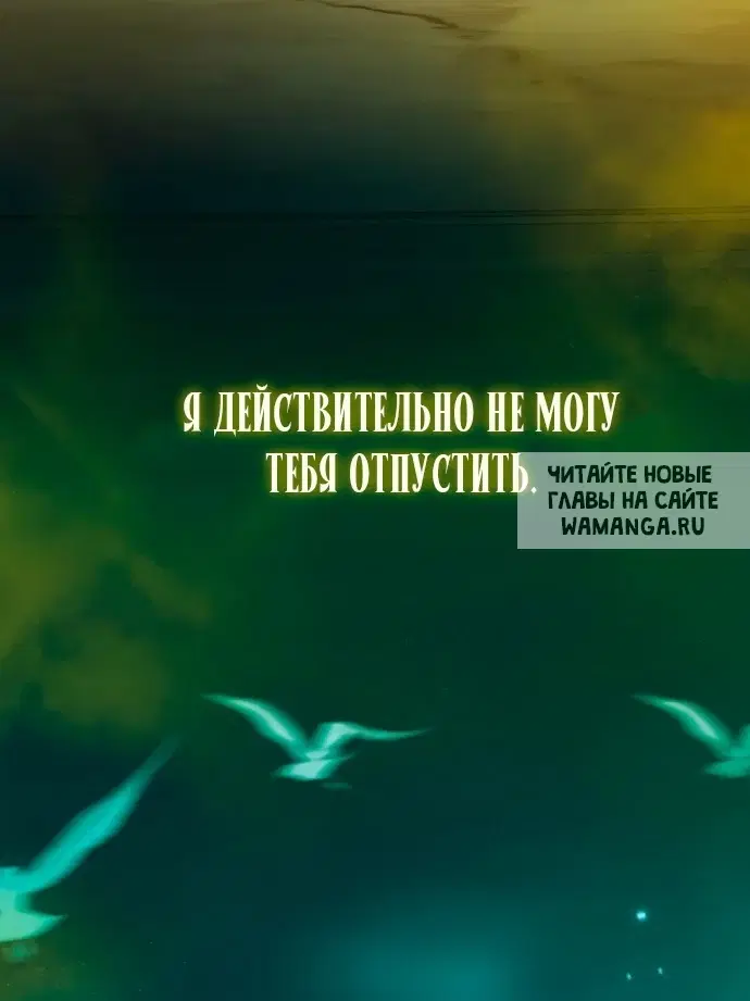 Page 65.000