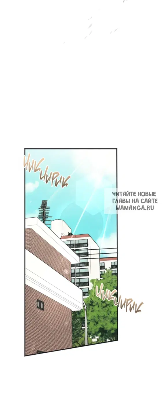 Page 26.000