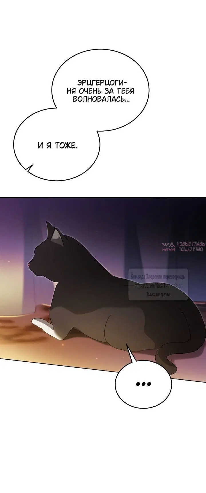 Page 50.000