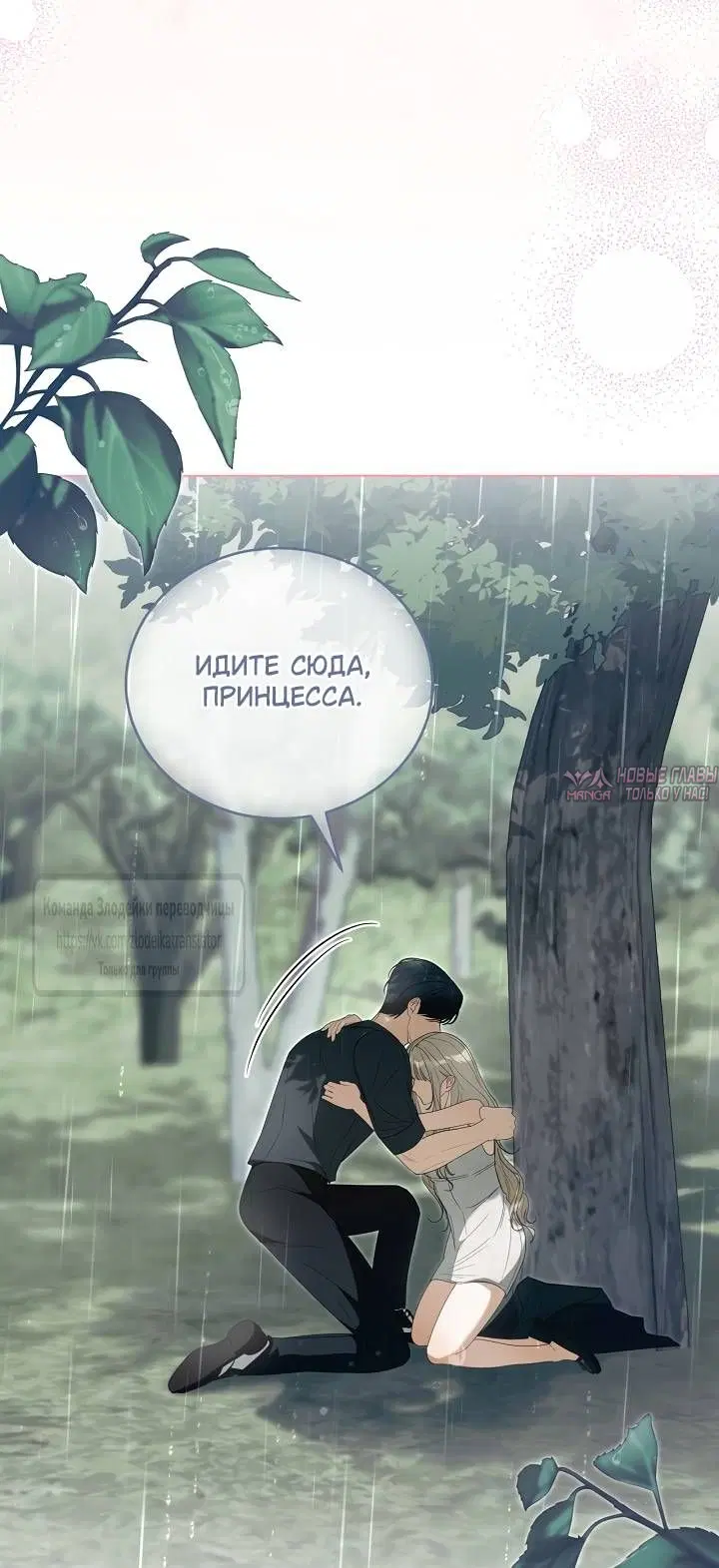 Page 53.000