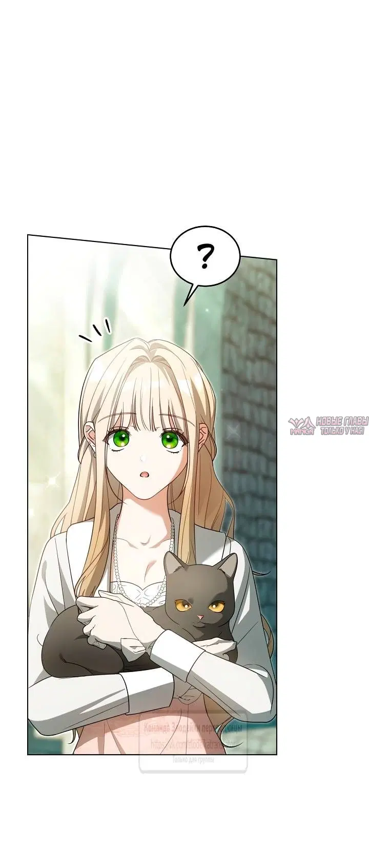 Page 61.000