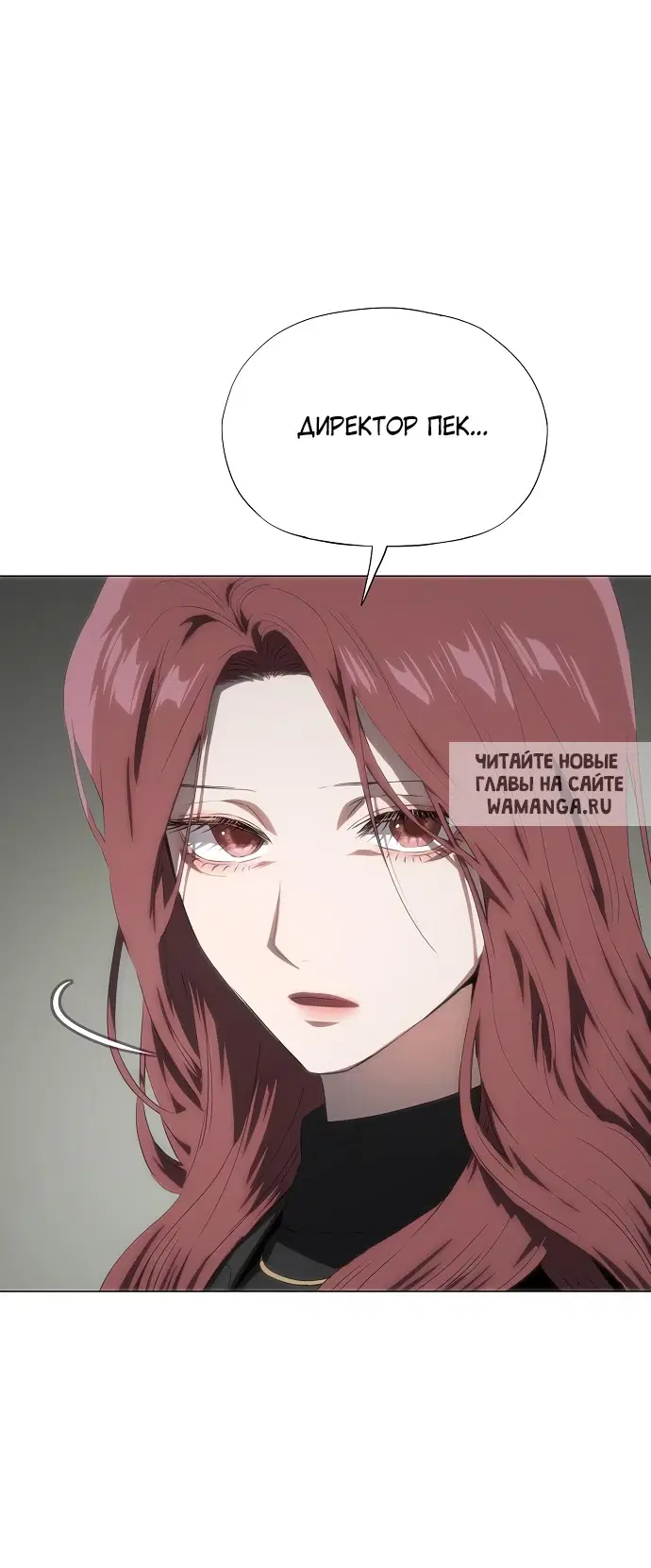Page 55.000