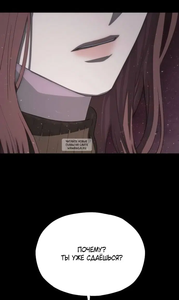 Page 81.000