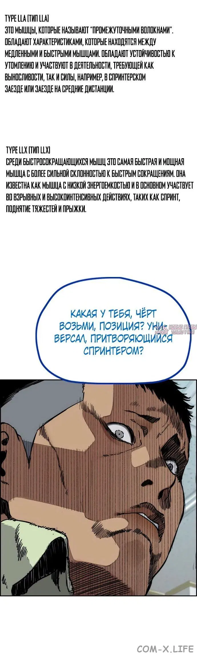 Page 23.000000000