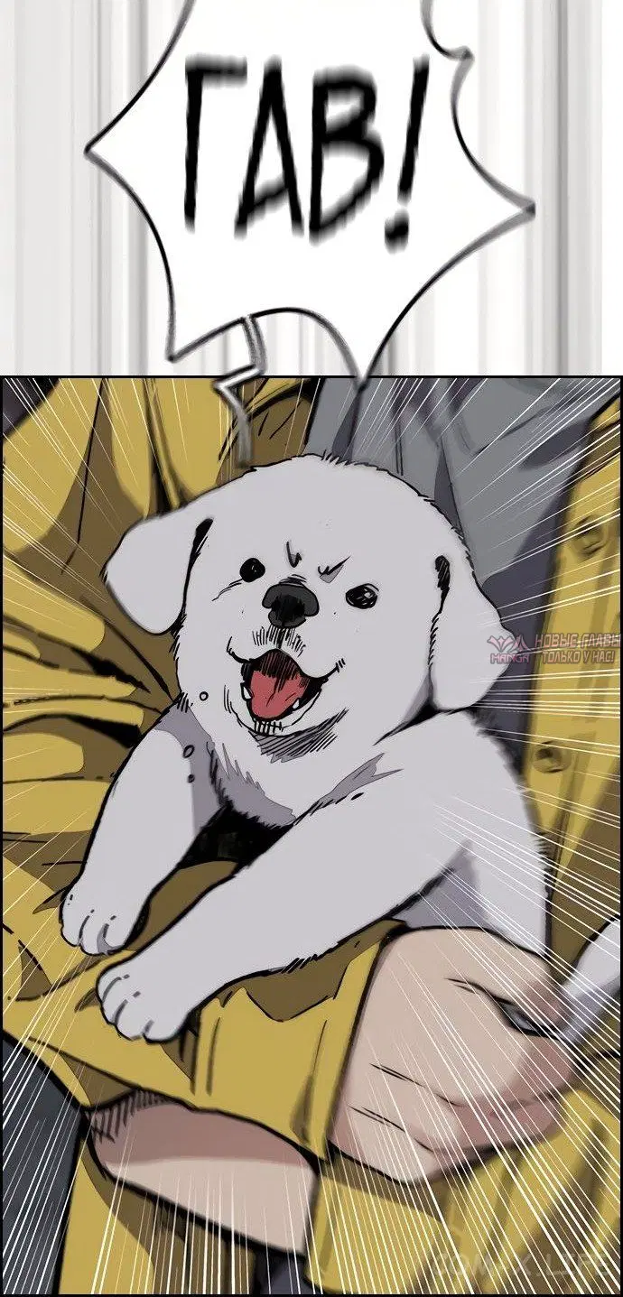 Page 61.000000000
