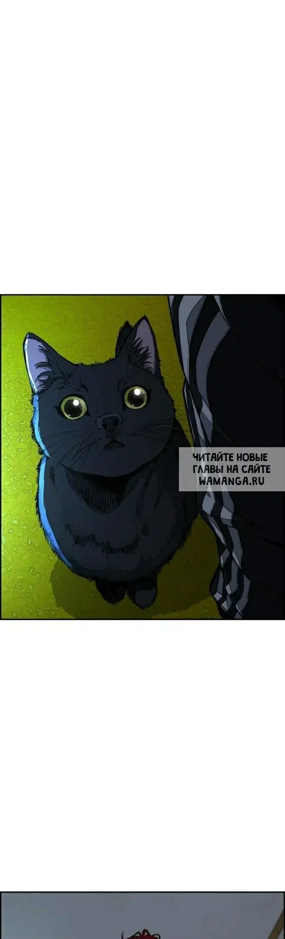 Page 20.000