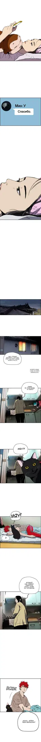 Page 3.000