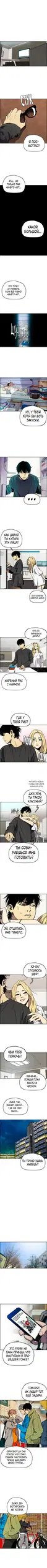 Page 3.000
